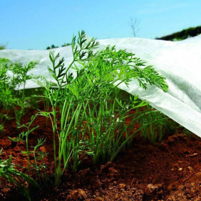 Manta térmica para agricultura